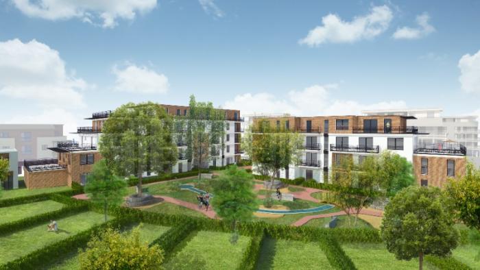 K et B - Consultation Dixmude